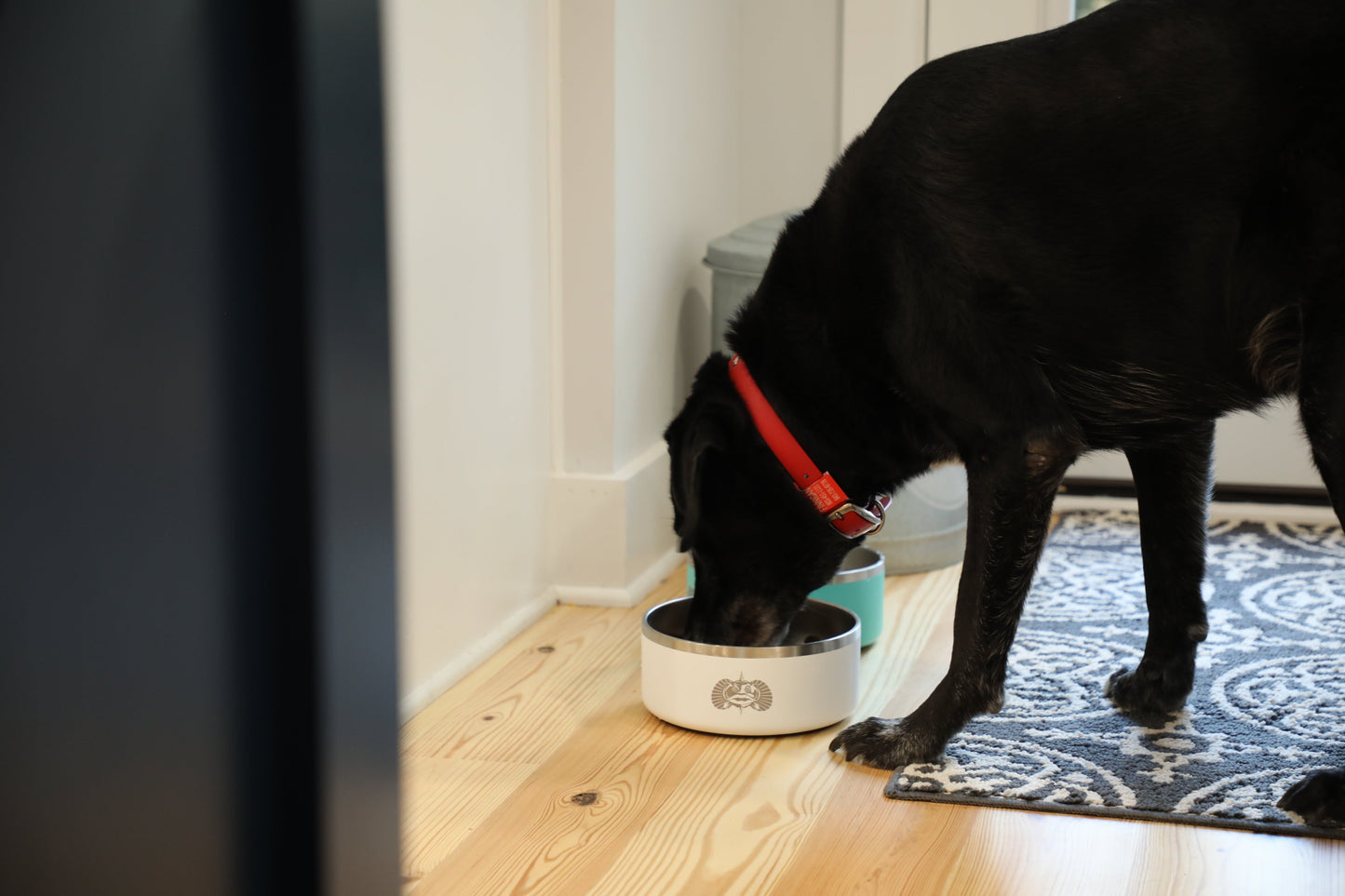 Nicht-Tipping Dog Bowl