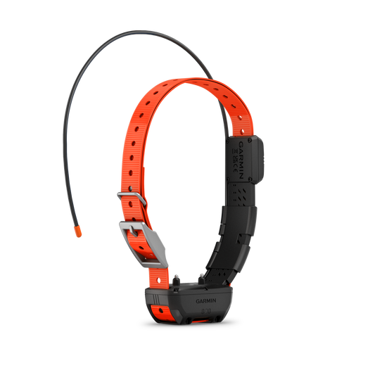 Garmin Alpha TT 25 Hundehalsband