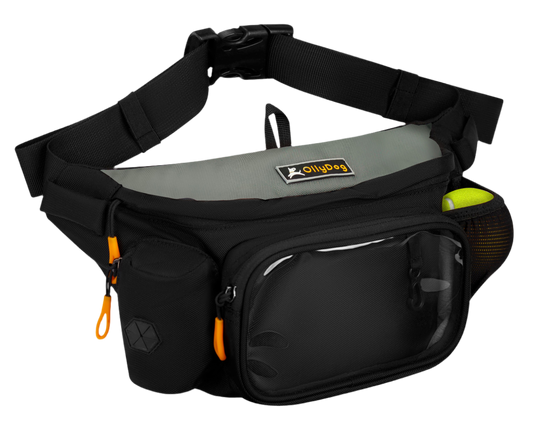 Trailblazer Packung mit Bouncy Ball | Adventure Waist Packung