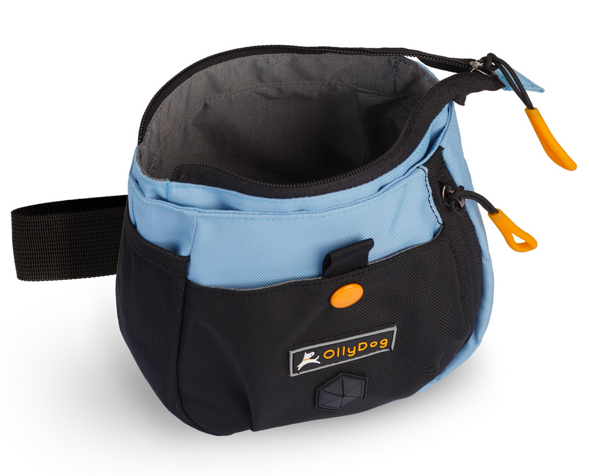 Back Country Day Bag | Zubehör Hip Packung