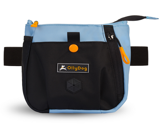 Back Country Day Bag | Zubehör Hip Packung