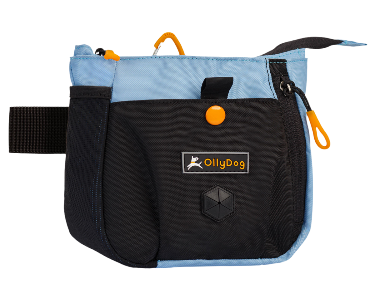 Back Country Day Bag | Zubehör Hip Packung