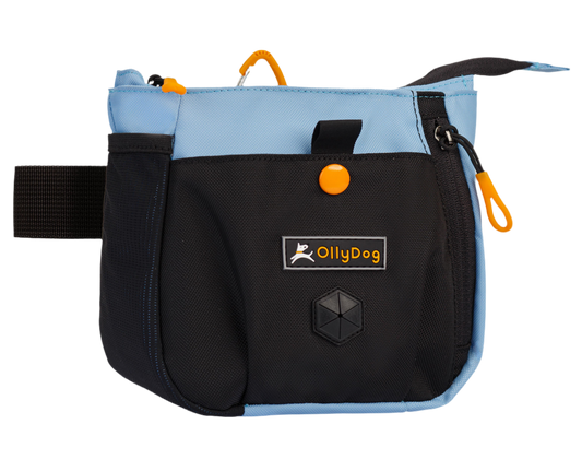 Back Country Day Bag | Zubehör Hip Packung