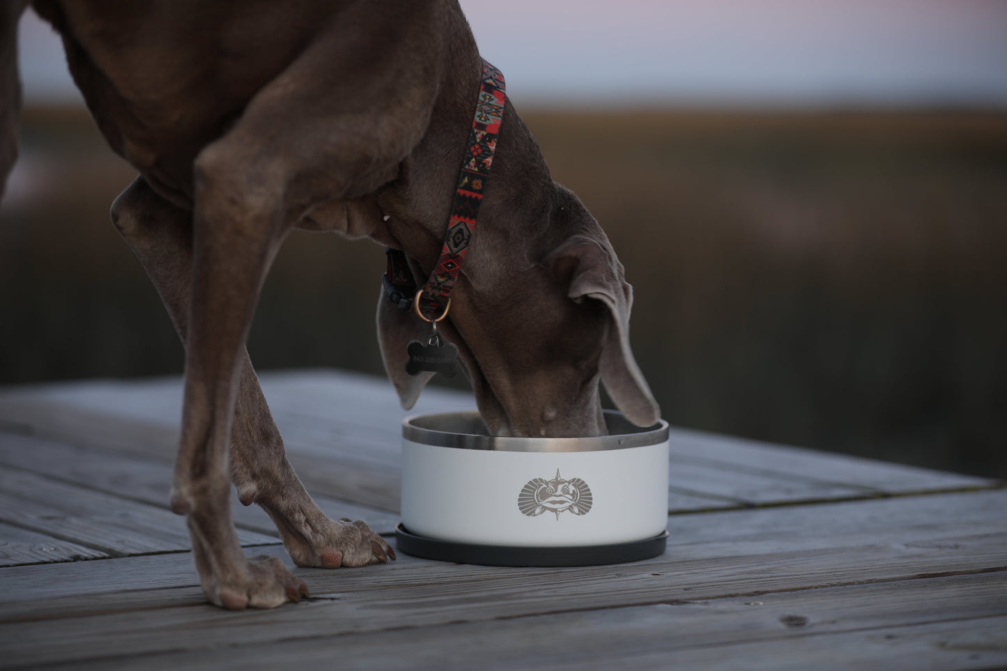 Nicht-Tipping Dog Bowl