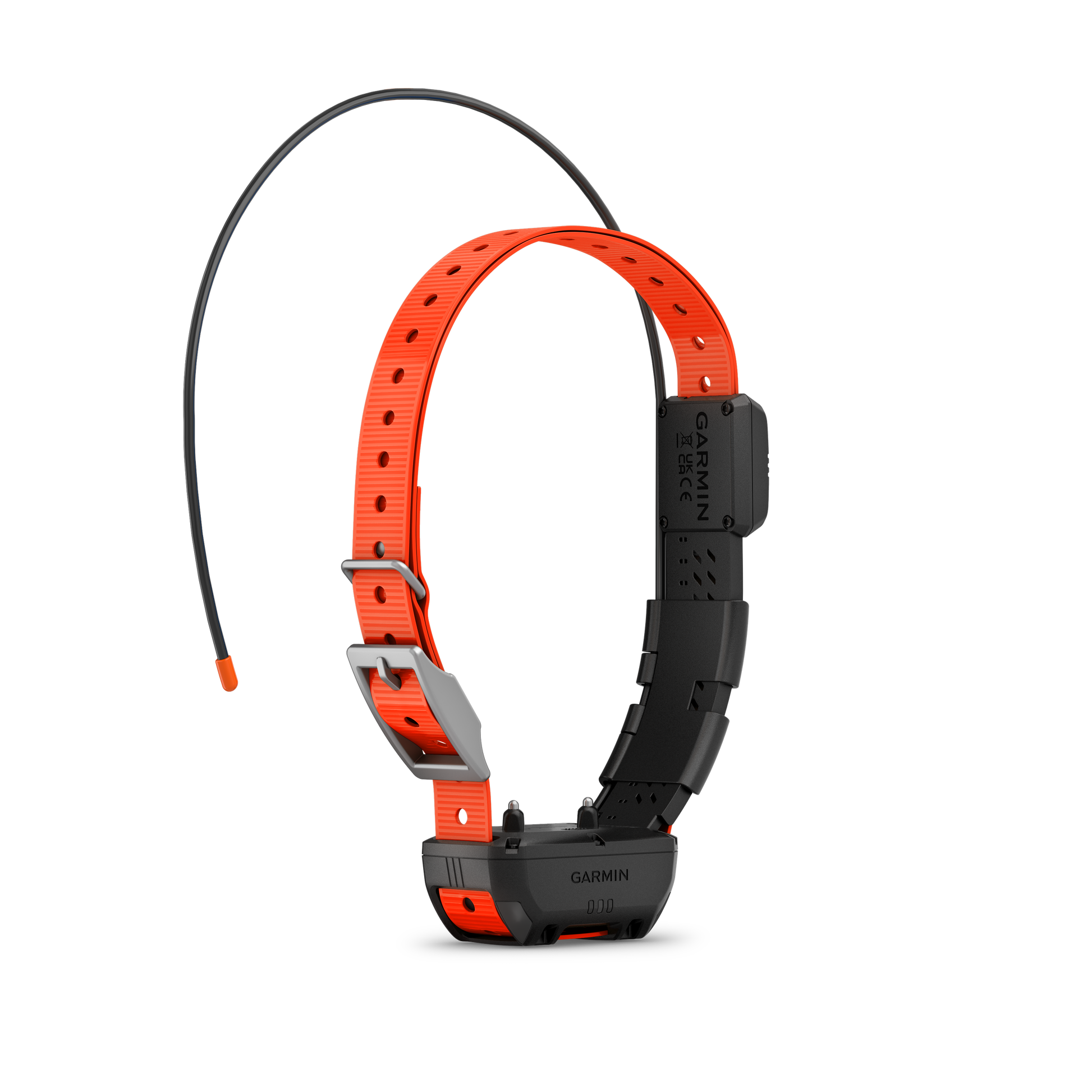 Garmin Alpha TT 25 Hundehalsband