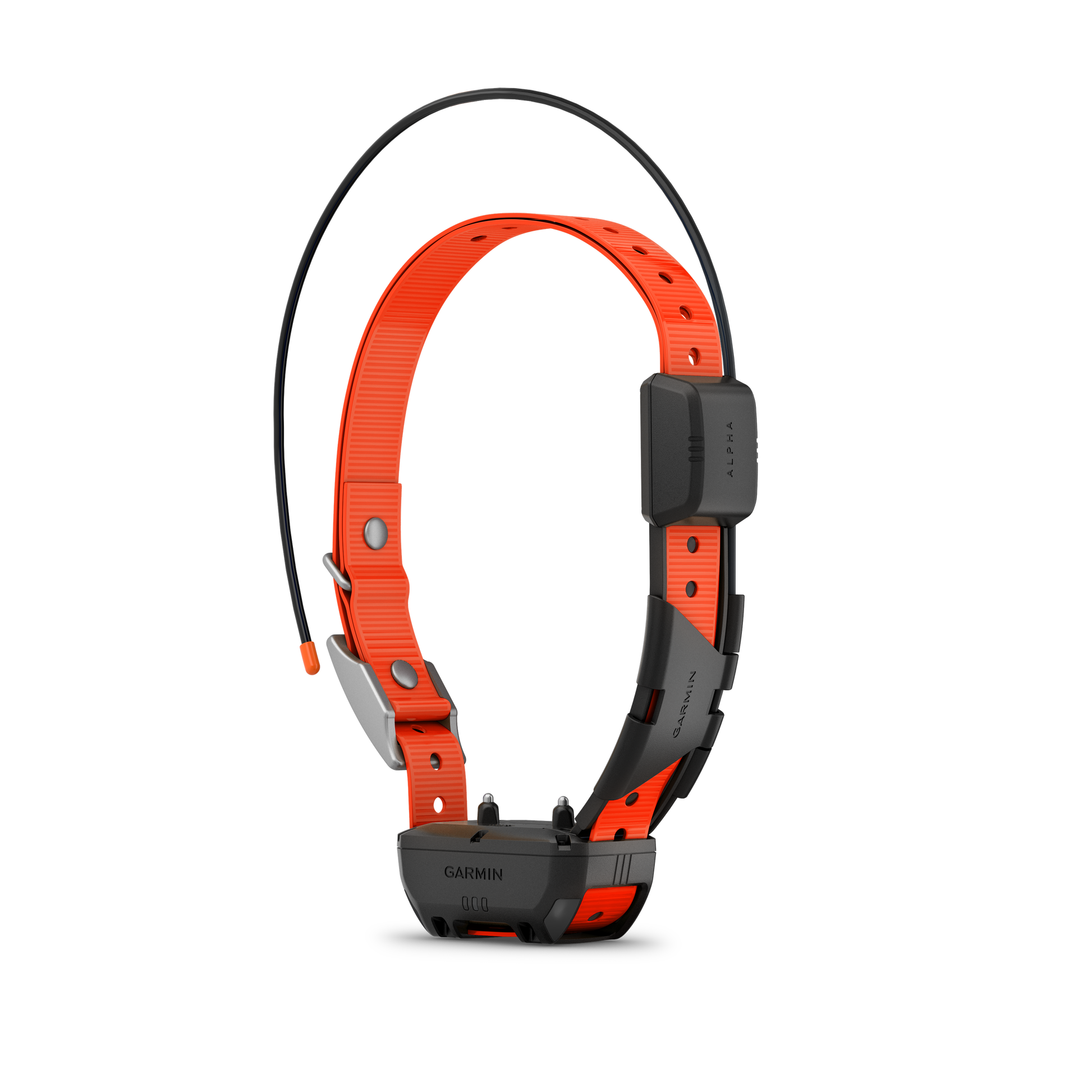 Garmin Alpha TT 25 Hundehalsband