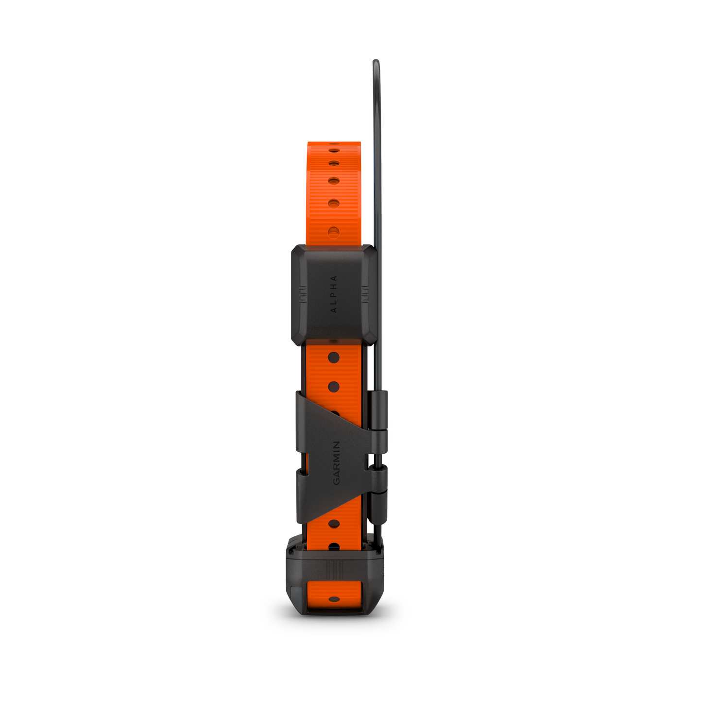 Garmin Alpha TT 25 Hundehalsband