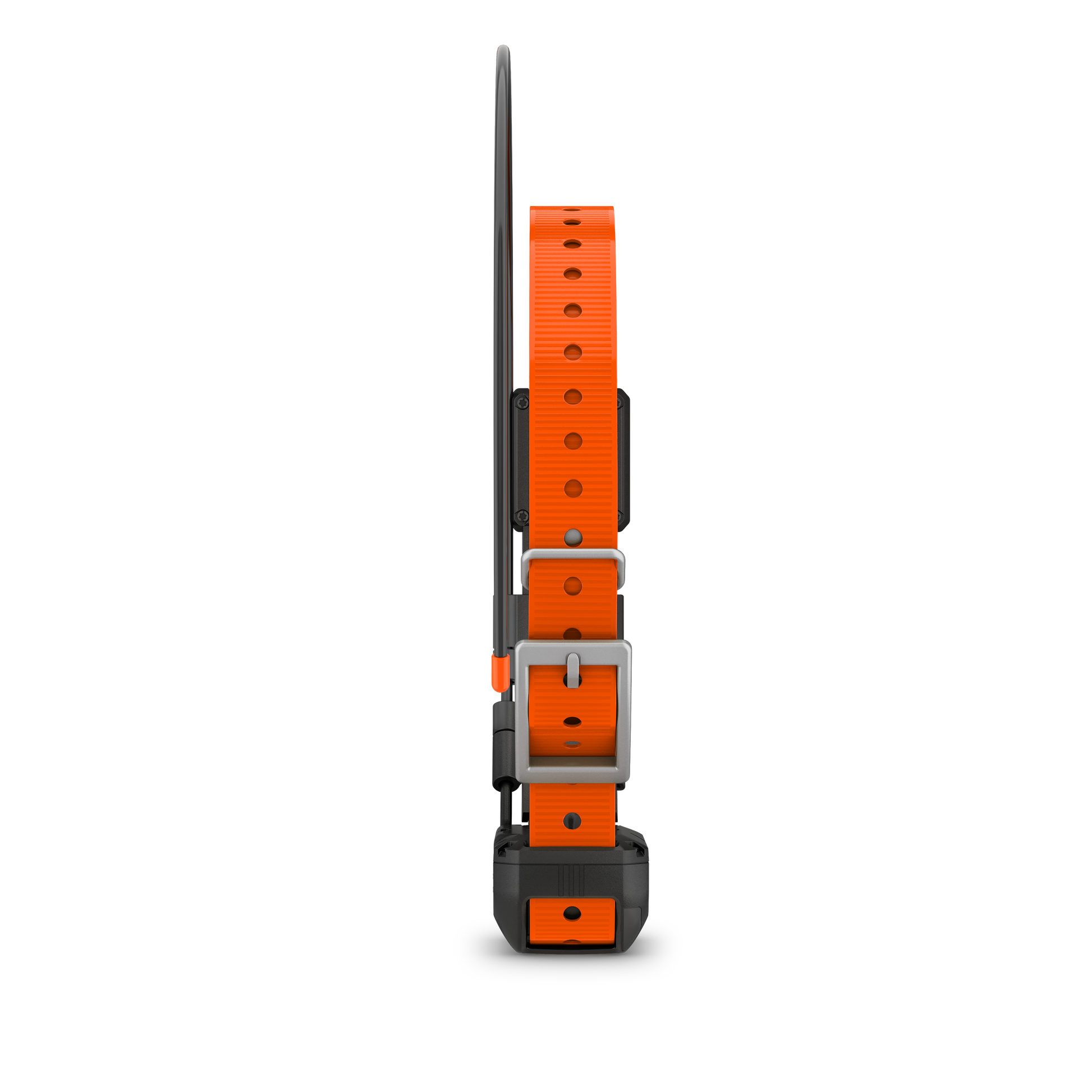 Garmin Alpha TT 25 Hundehalsband