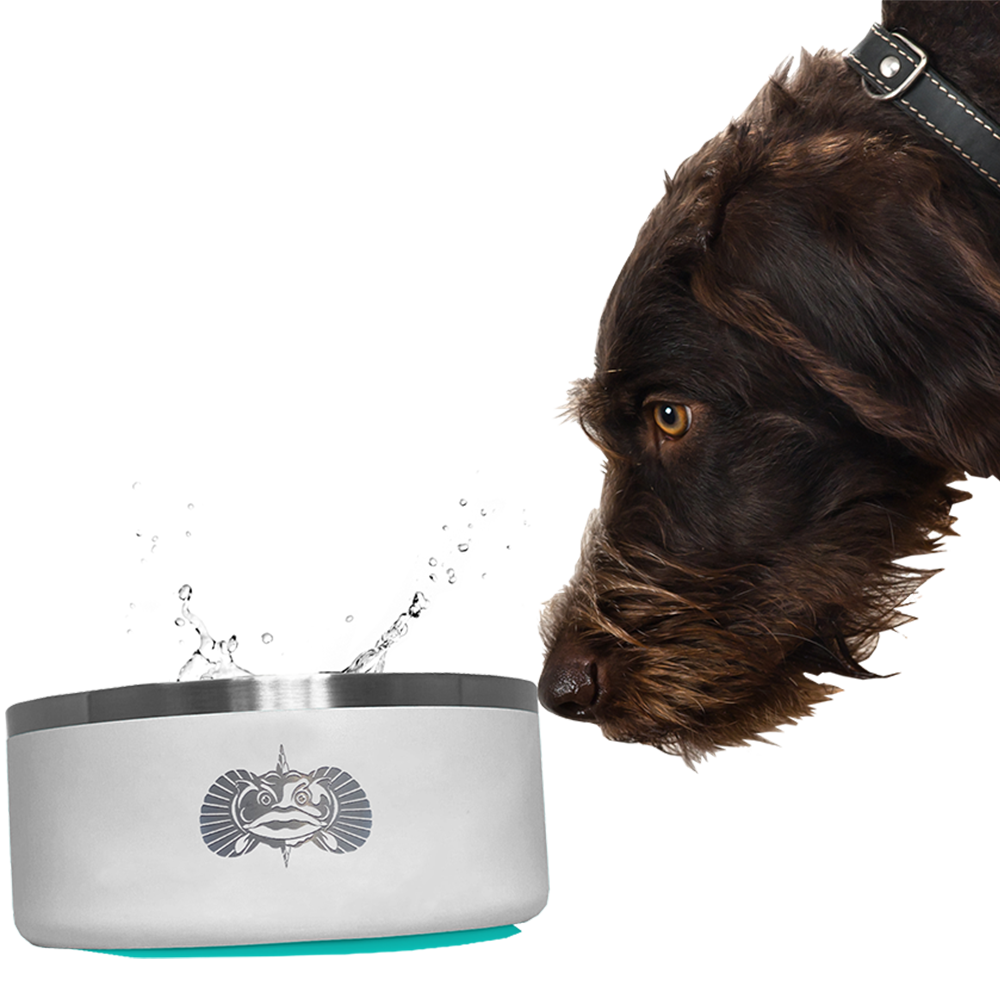 Nicht-Tipping Dog Bowl