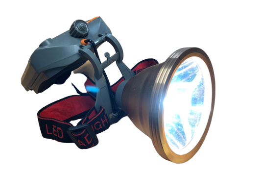 Der Frosch - 20 Watt Scheinwerfer