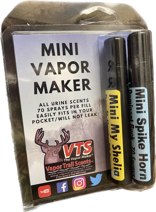 VTS Mini-Dampferzeuger