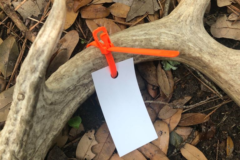 Big Game Tagging Kit