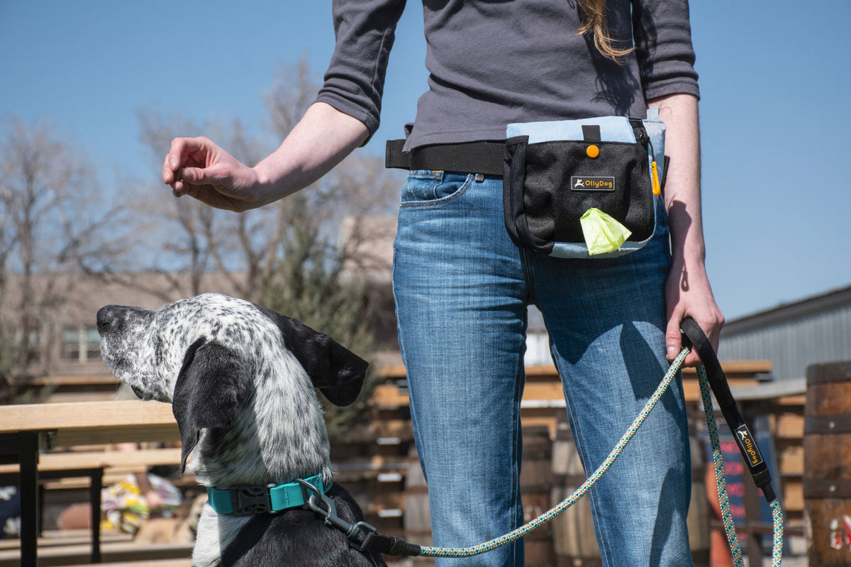 Back Country Day Bag | Zubehör Hip Packung