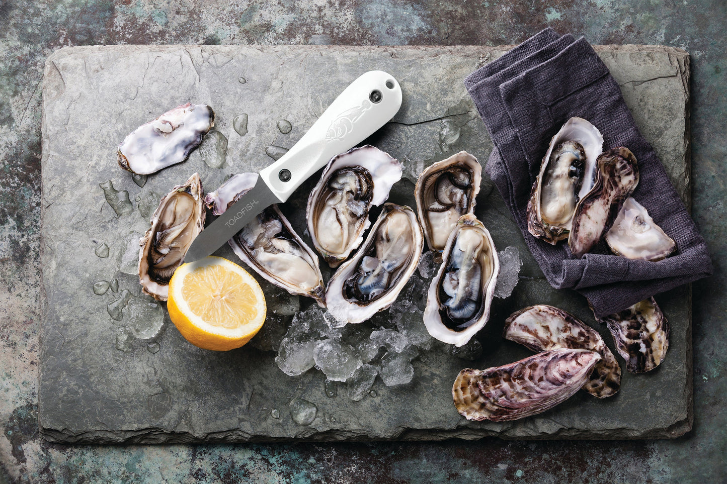 Professionelle Edition Oyster Shucker