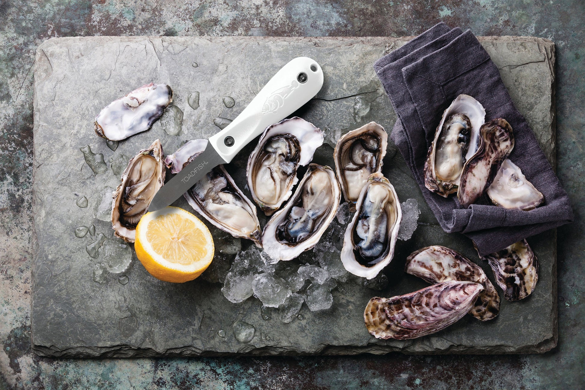 Professionelle Edition Oyster Shucker